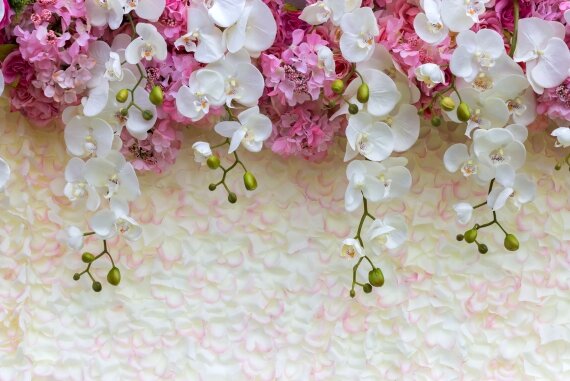 фотообои цветы в интерьере